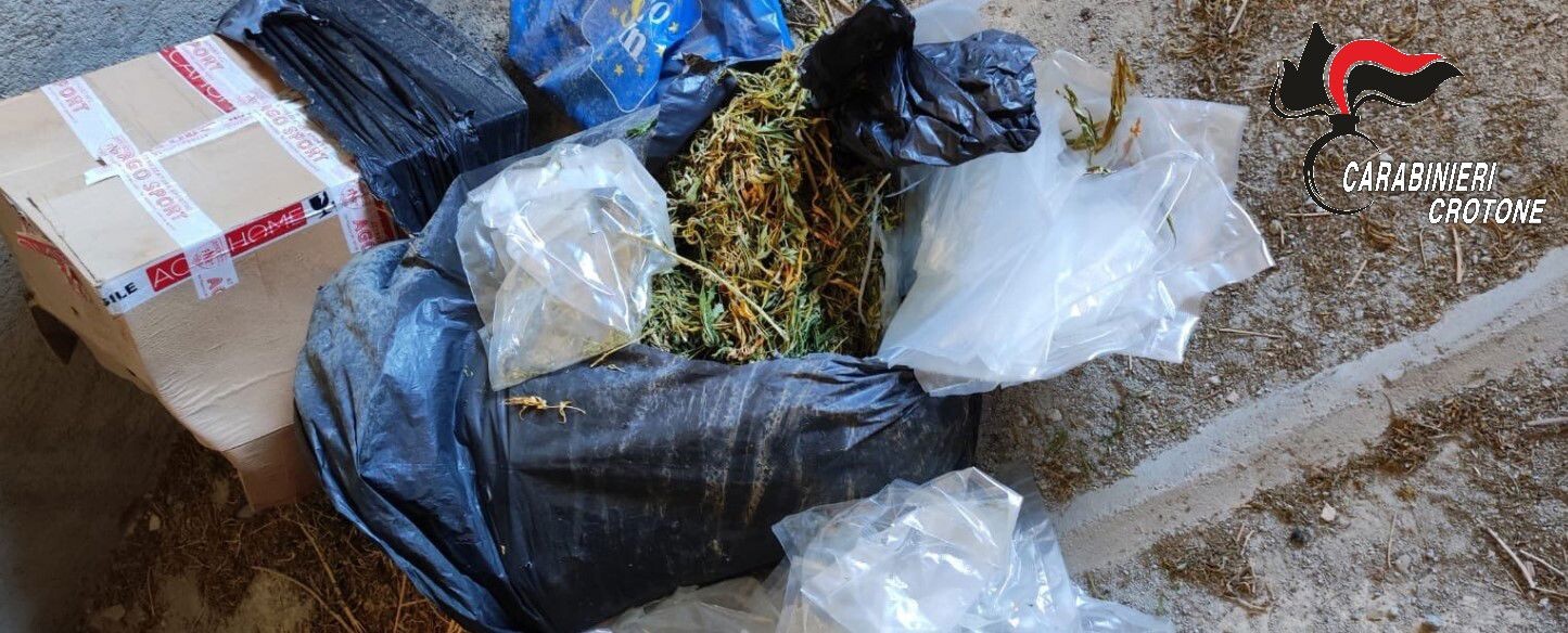 images Maxi sequestro di droga nel Cirotano: trovati in un deposito 18 chili di marijuana 