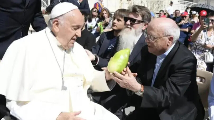 Papa Francesco riceve in dono il cedro di Calabria: il commento di Angelo Adduci images Papa Francesco riceve in dono il cedro di Calabria: il commento di Angelo Adduci