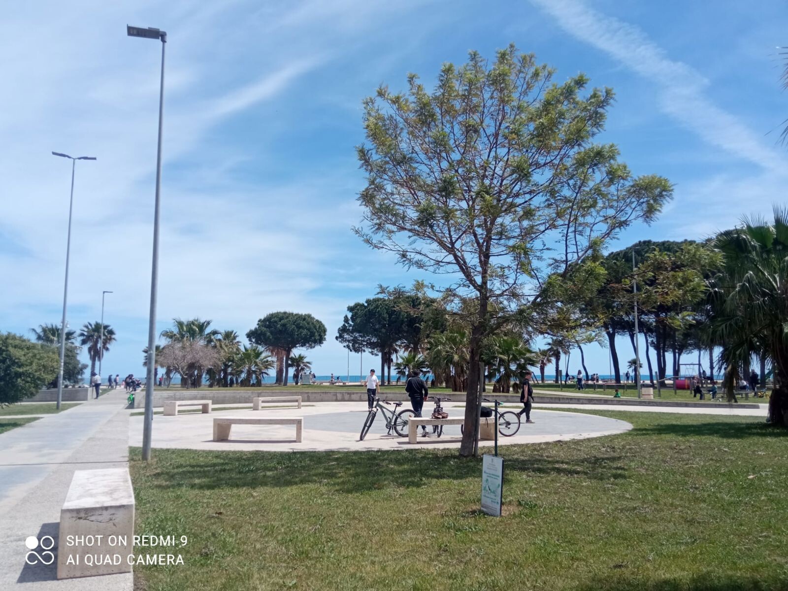 images La Fidapa di Soverato celebra la Giornata Nazionale dell'albero