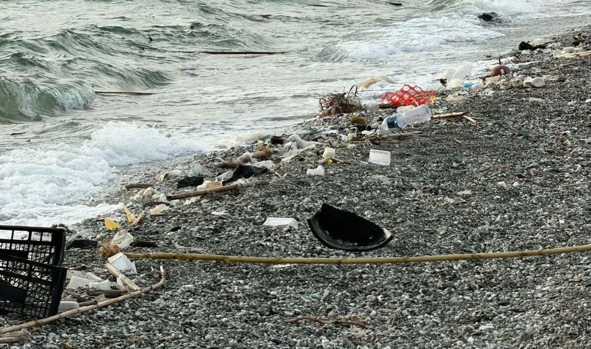 images Spiagge in stato di abbandono a Lamezia Terme: Plastic Free chiede un intervento urgente