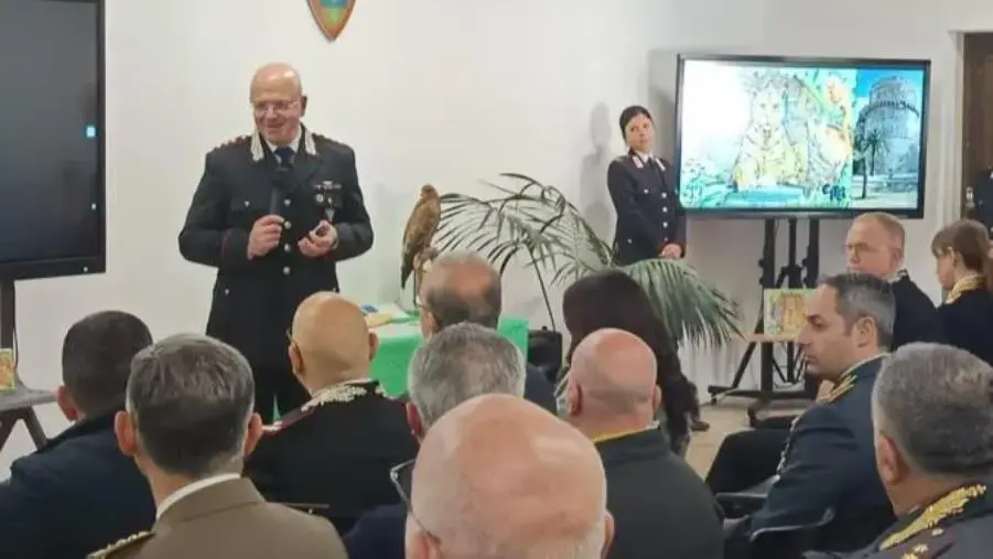 Reggio, i carabinieri Forestali presentano il bilancio dell'attività images Reggio, i carabinieri Forestali presentano il bilancio dell'attività