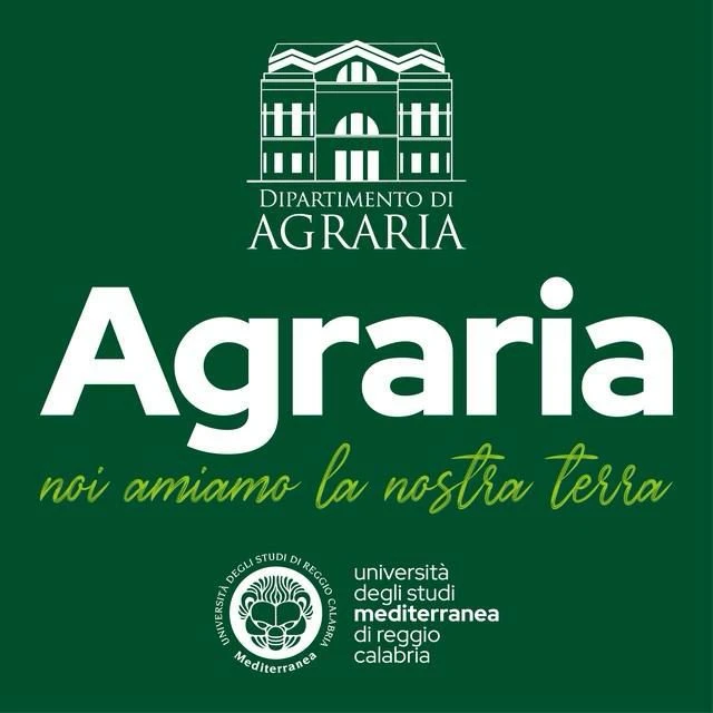 Reggio, il Dipartimento di Agraria dell’Università Mediterranea lancia il VII Convegno Nazionale dell’Olivo e dell’Olio