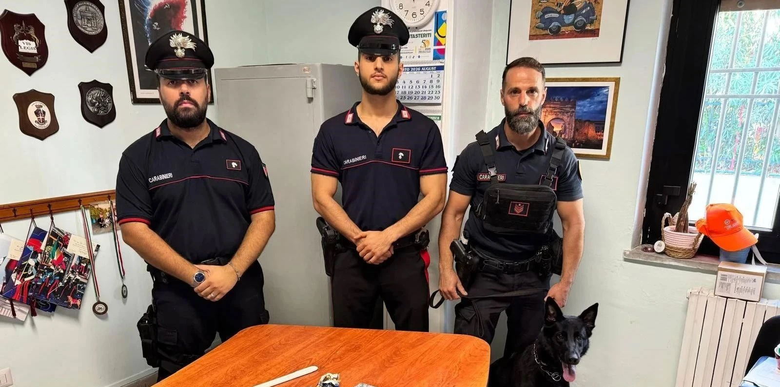Il fiuto di Kira non tradisce: 18enne rumeno arrestato nel Crotonese per detenzione di droga ai fini di spaccio  