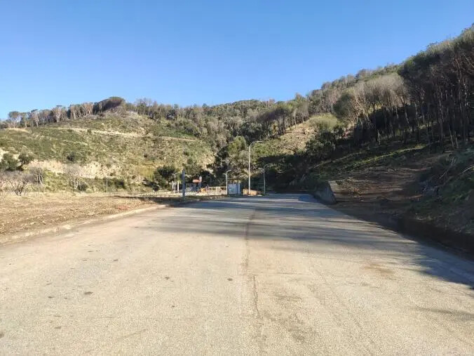 Riaperta al traffico la strada della Pineta di Siano images Riaperta al traffico la strada della Pineta di Siano