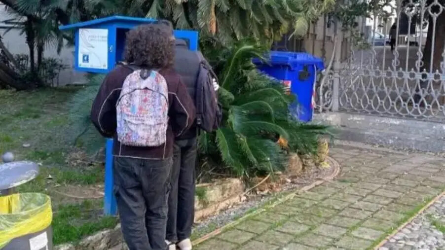 images Casette del booksharing vuote e danneggiate: l’appello di Rinnova Catanzaro ai cittadini 