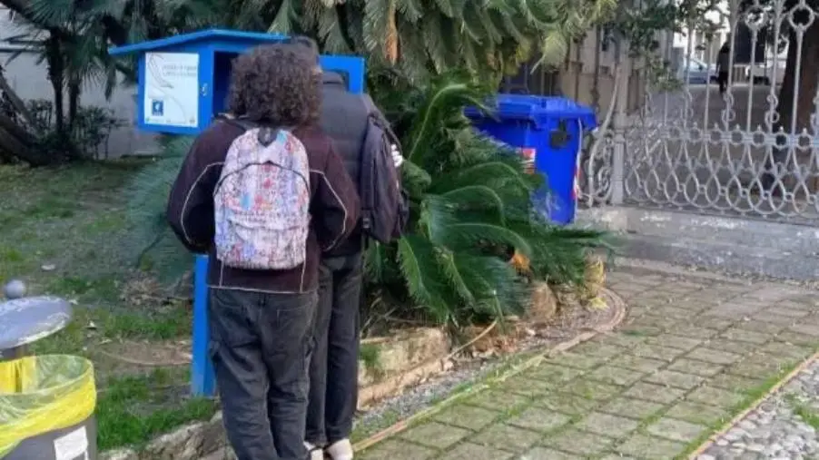 images Casette del booksharing vuote e danneggiate: l’appello di Rinnova Catanzaro ai cittadini 