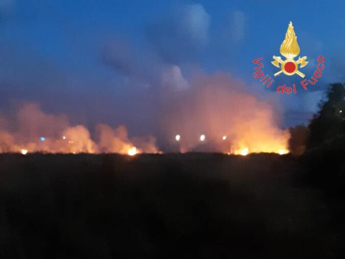 Incendio all'ex zuccherificio di Lamezia Terme: in fiamme 10 ettari di vegetazione images Incendio all'ex zuccherificio di Lamezia Terme: in fiamme 10 ettari di vegetazione