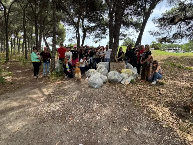 Alla Pineta di Giovino l’ultima giornata ecologica dell’associazione "Boschi Puliti" images Alla Pineta di Giovino l’ultima giornata ecologica dell’associazione "Boschi Puliti"
