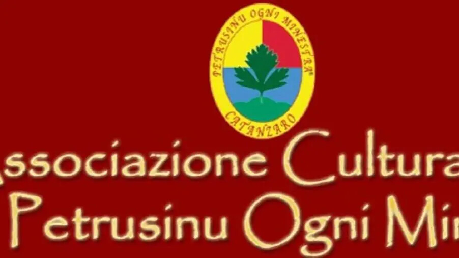 Petrusinu ogni minestra: "La politica catanzarese è interessata ai trasporti e alle infrastrutture?" images Petrusinu ogni minestra: "La politica catanzarese è interessata ai trasporti e alle infrastrutture?"