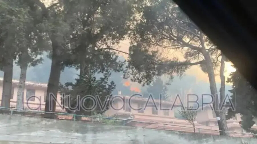 images Incendio a Copanello: fiamme vicino alle abitazioni 