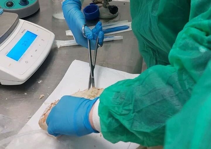 images Curvatura biomedica e ricerca scientifica: studenti del Siciliani-De Nobili&nbsp;in esperienza all’IZSM