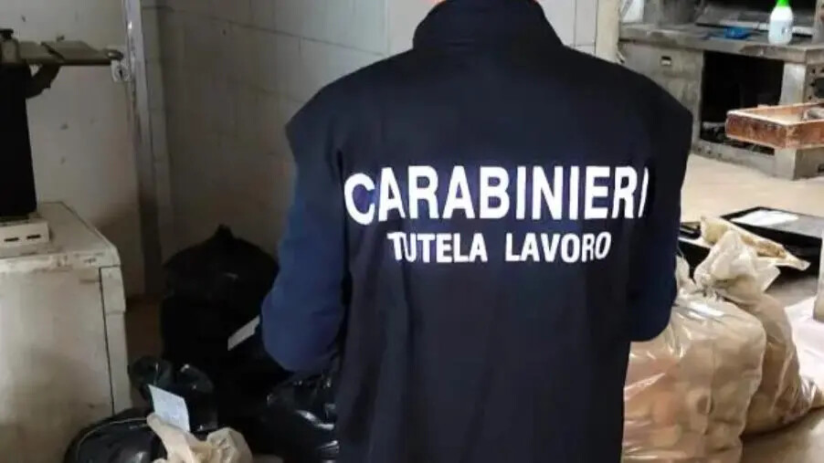 images Panificio con gravi carenze igienico-sanitarie nel Reggino: denunciato il titolare