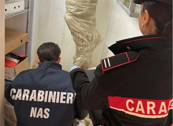 images Lamezia, weekend di controlli: più di una tonnellata di alimenti sequestrati e scoperti 2 lavoratori in nero 