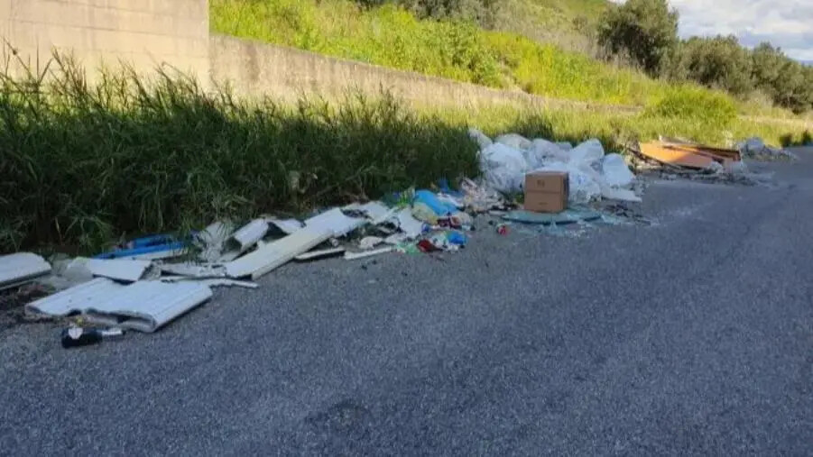 Catanzaro, la denuncia: "Discriminazione e abbandono istituzionale in Viale Isonzo 222D" images Catanzaro, la denuncia: "Discriminazione e abbandono istituzionale in Viale Isonzo 222D"