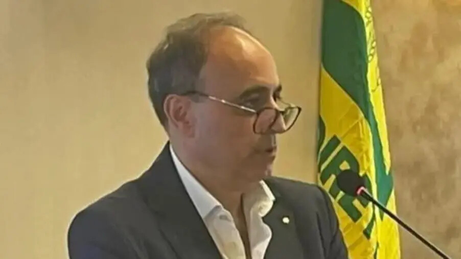 images Coldiretti Calabria: "Basta cinghiali e fauna selvatica incontrollata"