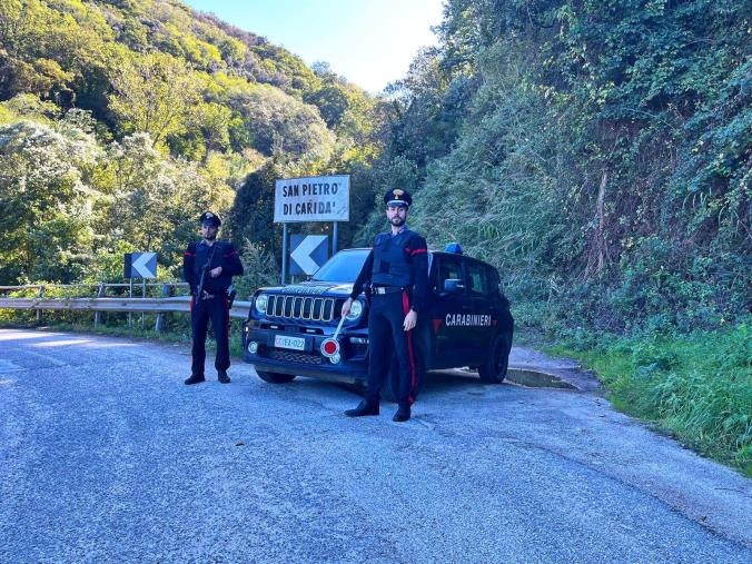 San Pietro di Caridà: scoperta una piantagione di marijuana, quattro arresti
