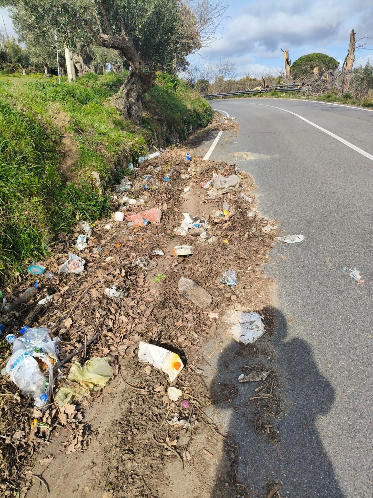 images Strada provinciale da Gagliano a Gimigliano invasa da detriti e rifiuti: urgente la messa in sicurezza