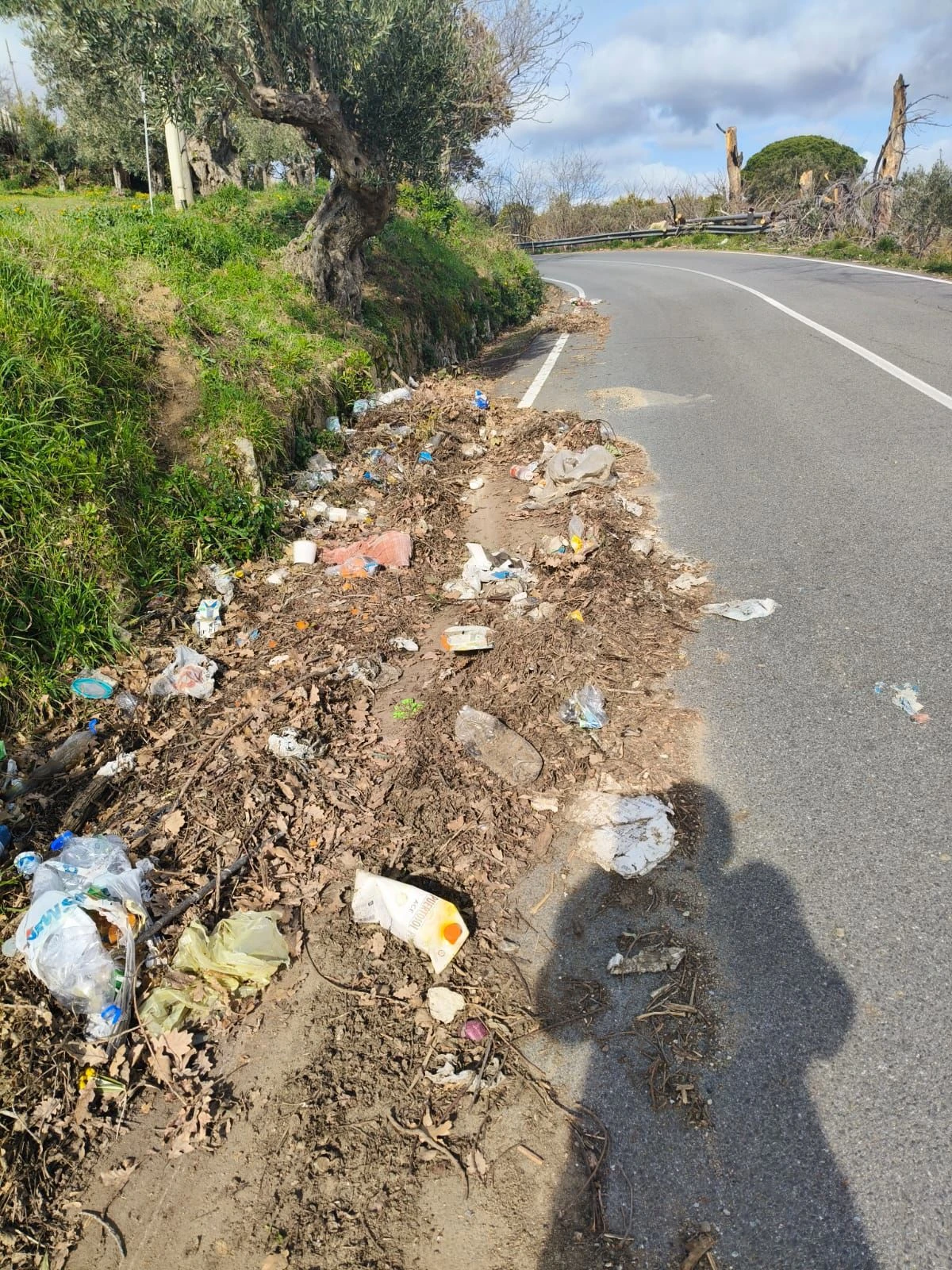 Strada provinciale da Gagliano a Gimigliano invasa da detriti e rifiuti: urgente la messa in sicurezza