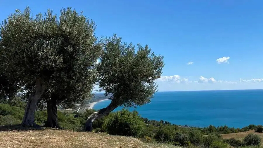 images Reggio Calabria, mercoledì 19 giugno il convegno “Mediterraneo, un laboratorio di integrazione"