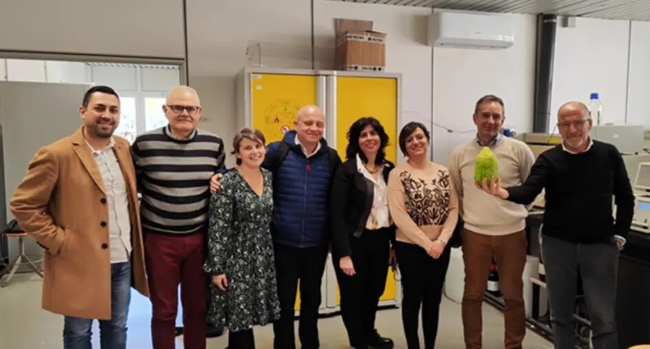 images La ricerca scientifica dell’UniCal dà nuovi strumenti per la tutela del Cedro di Santa Maria del Cedro DOP