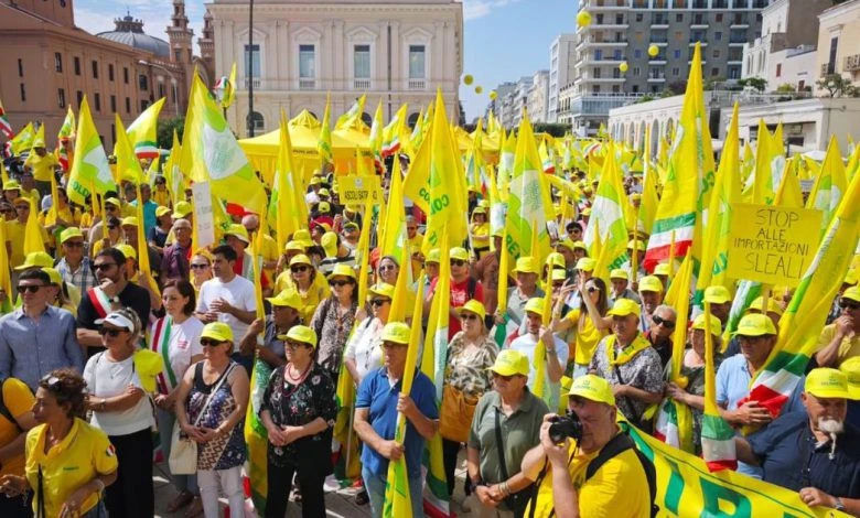 Contraffazione di olio extra vergine, anche Coldiretti Calabria all'evento di Bari 