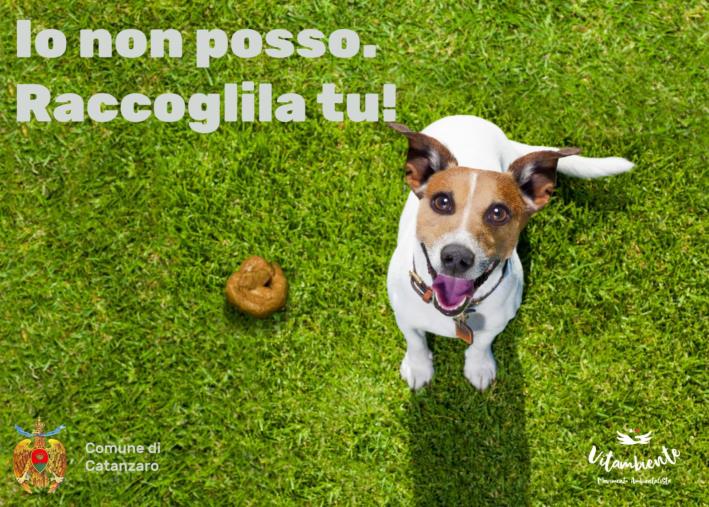 Catanzaro, campagna di sensibilizzazione alla deiezione canina: firmato protocollo d’intesa tra Comune e Vitambiente images Catanzaro, campagna di sensibilizzazione alla deiezione canina: firmato protocollo d’intesa tra Comune e Vitambiente