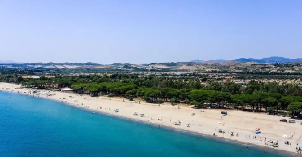 Simeri Crichi, approvati 2 atti di indirizzo per proteggere le pinete nella zona marina images Simeri Crichi, approvati 2 atti di indirizzo per proteggere le pinete nella zona marina