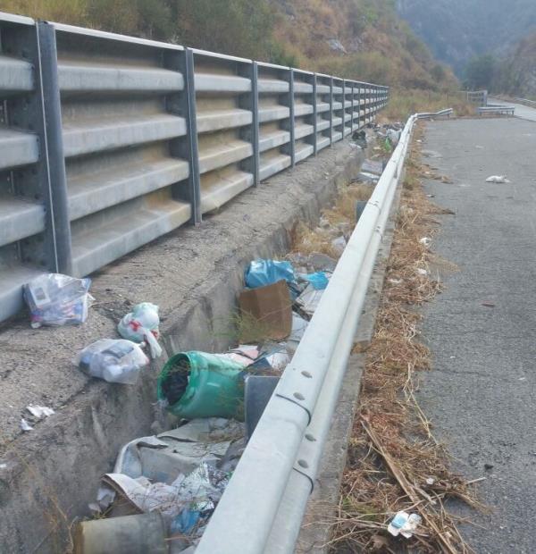 Strada Provinciale invasa da rifiuti, il vicesindaco di Albi: "Immobilismo totale dalle istituzioni" images Strada Provinciale invasa da rifiuti, il vicesindaco di Albi: "Immobilismo totale dalle istituzioni"