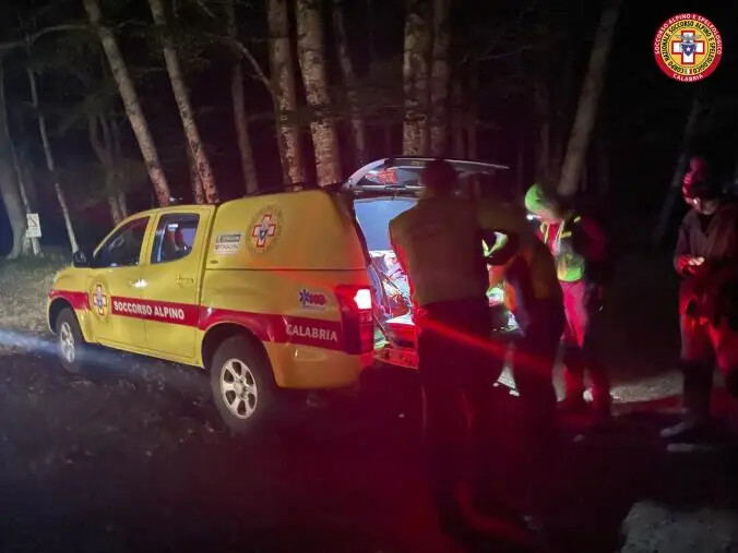 images Va a raccogliere funghi con il figlio ma non rientra: si cerca 86enne nel Cosentino