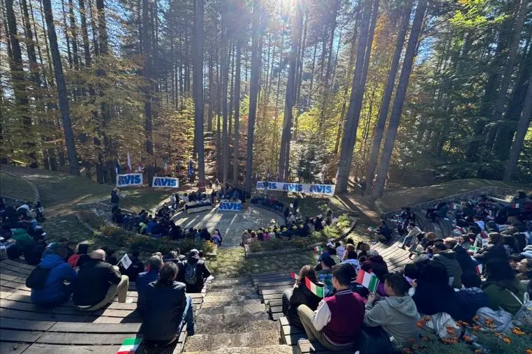 images Avis, in Sila le cerimonie di premiazione dei progetti:  2000 gli studenti calabresi coinvolti