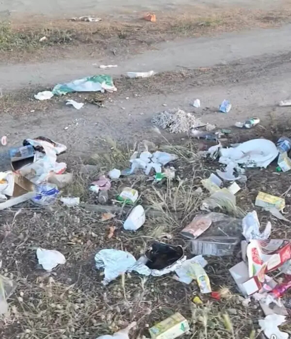 images Rifiuti pineta di Giovino, Riccio e Concolino: "Sarà ancora colpa del passato?"