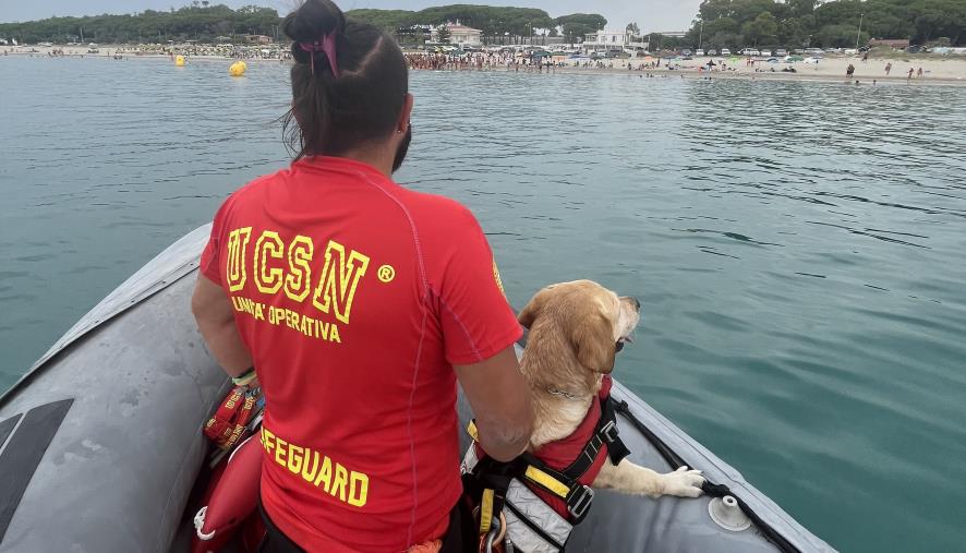 images Malore in acqua durante torneo nel Catanzarese, atleta tratto in salvo dall’Ucsn