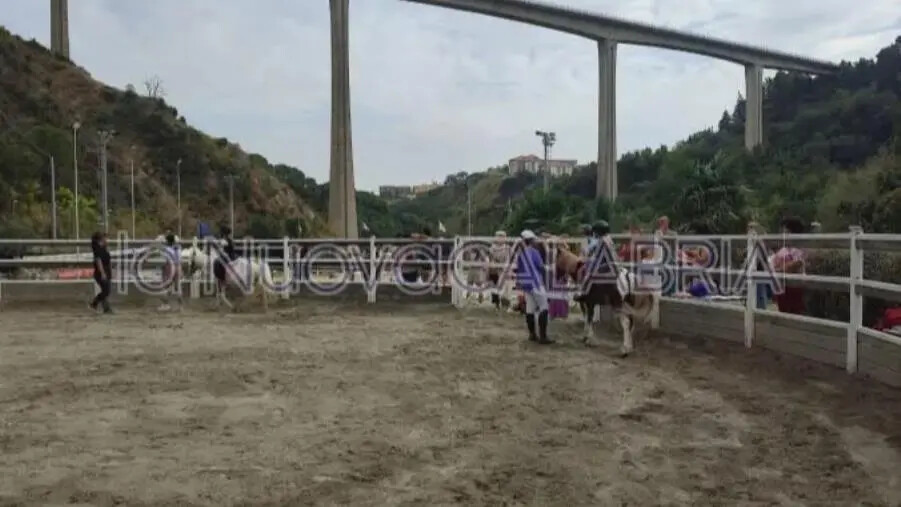 images Catanzaro, grande successo al Centro ippico Valle dei Mulini per l'Open Day della Scuola Pony
