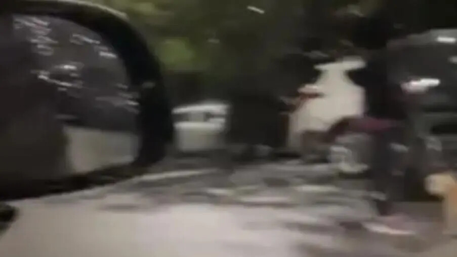 images Forti raffiche di vento a Catanzaro, alberi cadono sulle auto