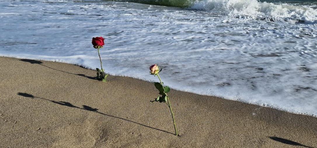 images Naufragio Cutro, Scigliano dopo la chiusura indagini: "Siano individuate le responsabilità" 