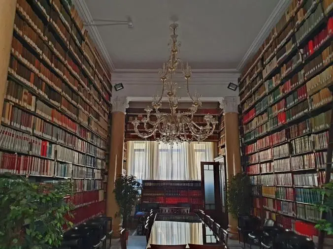 Riapre lunedì 10 giugno la biblioteca del Consiglio dell’Ordine Distrettuale degli Avvocati di Catanzaro images Riapre lunedì 10 giugno la biblioteca del Consiglio dell’Ordine Distrettuale degli Avvocati di Catanzaro