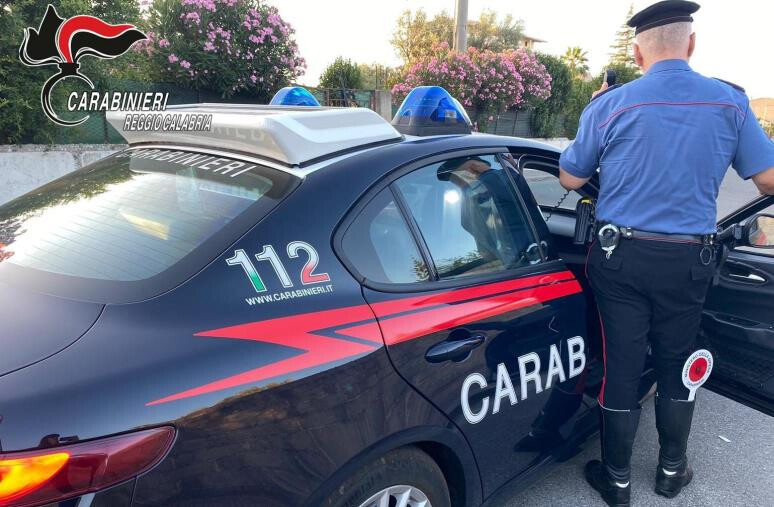 Reggio Calabria, controlli sul litorale: sequestrati 200 kg di alimenti e multe per 28mila euro images Reggio Calabria, controlli sul litorale: sequestrati 200 kg di alimenti e multe per 28mila euro