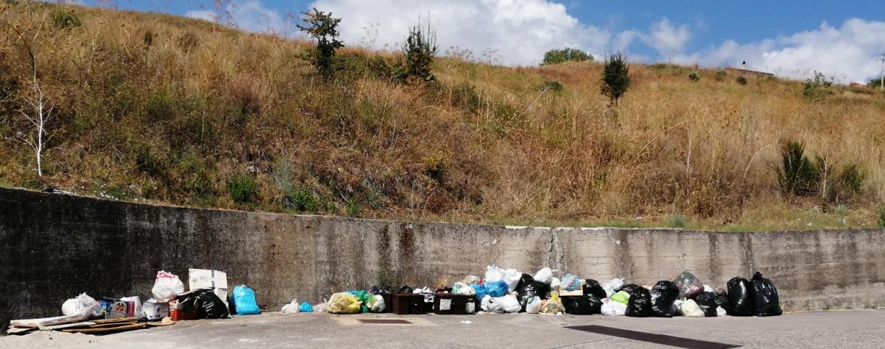 Legambiente contro l'ordinanza di Spirlì: "Invece della differenziata si ricorre alla discarica" images Legambiente contro l'ordinanza di Spirlì: "Invece della differenziata si ricorre alla discarica"