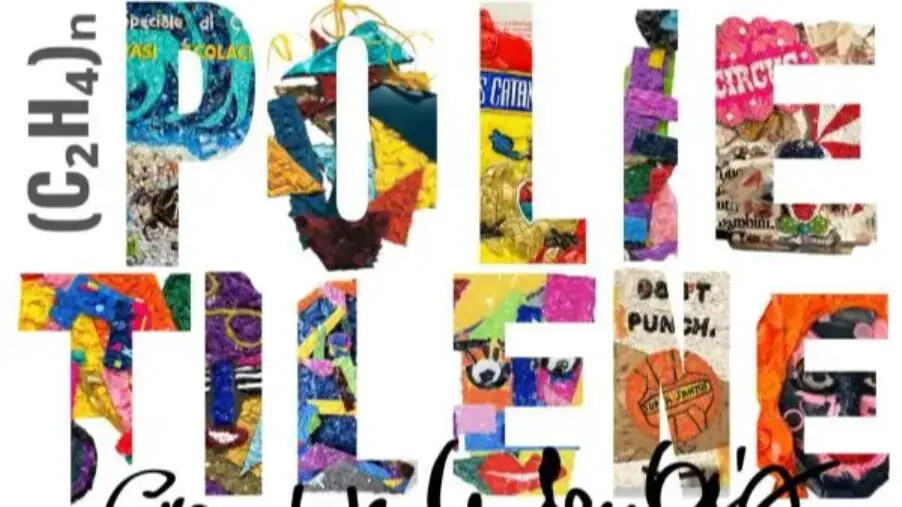 images A Catanzaro la mostra "Polietilene", il riciclo nelle creazioni artistiche di Giampiero De Santis