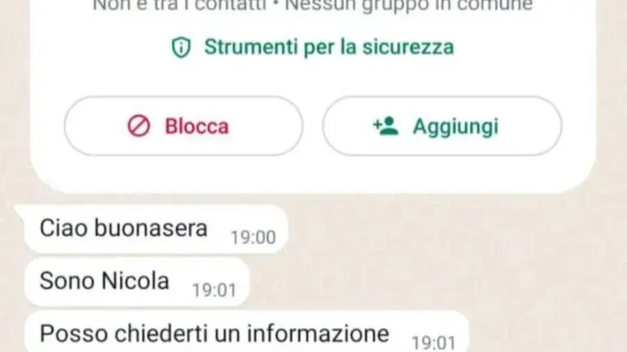 images Catanzaro, si spaccia per il sindaco e chiede soldi su whatsapp: Fiorita lancia l'allarme