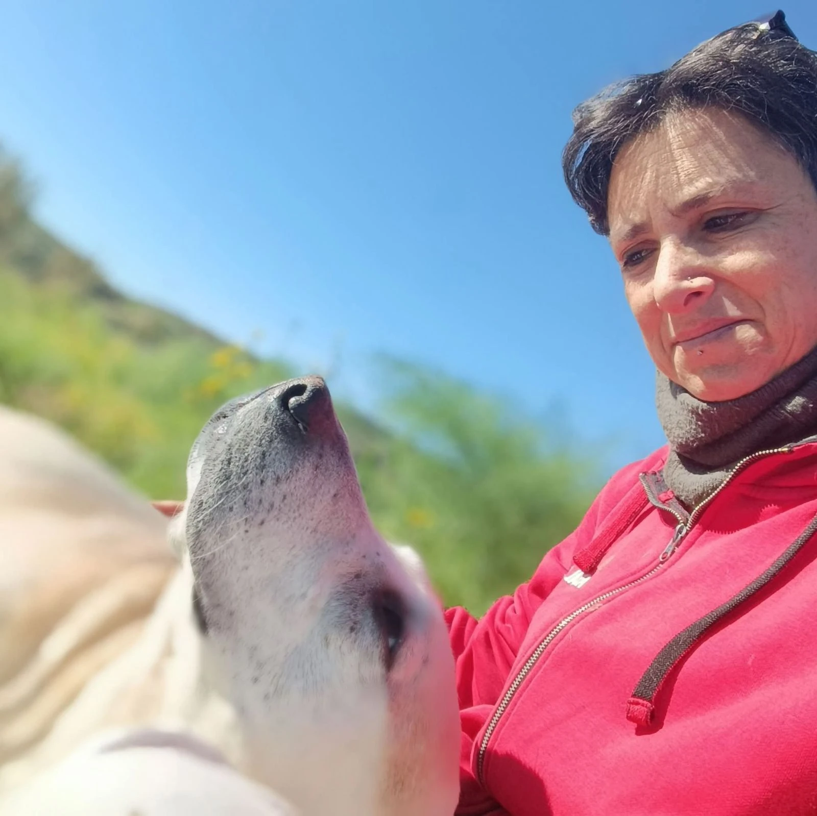 Sospensione pronto soccorso gatti a Catanzaro, Console (Anima Randagia): "Vigileremo su tale vicenda"