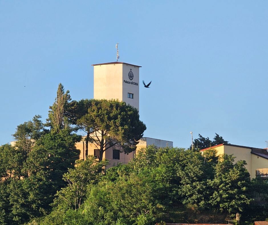 images Chiaravalle, l'allarme di Radici e Ali: "Dissesto bis dietro l'angolo?"