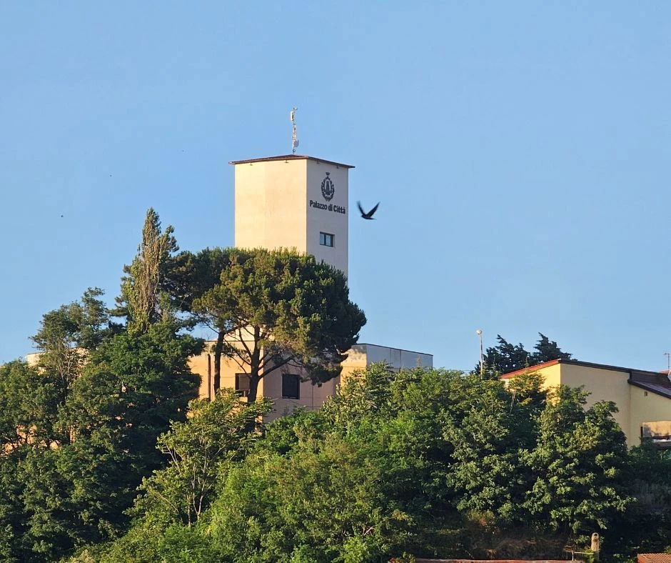 Chiaravalle, l'allarme di Radici e Ali: "Dissesto bis dietro l'angolo?"