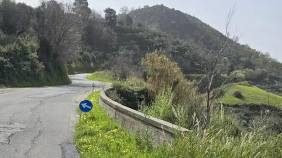 images Simeri Crichi, Zicchinella: "Strada del Bosco, finalmente il Decreto, basta interventi tampone"