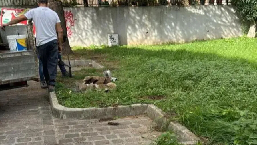 images Iemma e Barberio: “Avviata la messa in sicurezza dell’area giochi di Santa Maria, segnale di attenzione per le famiglie”