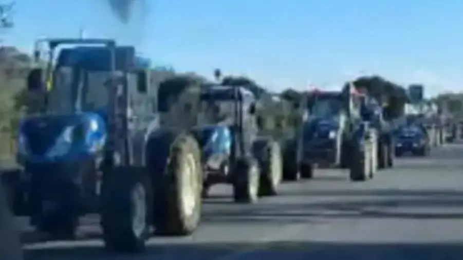 images Agricoltura, raduno dei trattori allo svincolo A2 all'altezza di Pizzo Calabro

