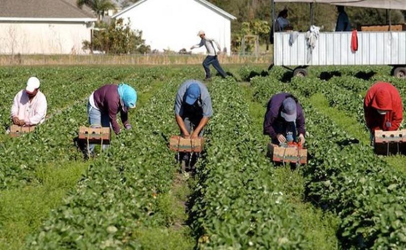 images Catanzaro. Firmato il Contratto Collettivo Provinciale del Lavoro per gli operai agricoli e florovivaisti