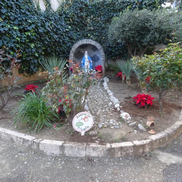 images Le stelle di Natale dell’Ail "fioriscono" nelle aiuole del carcere di Catanzaro