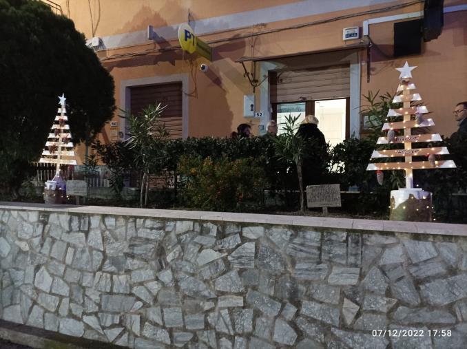 Pentone, alberelli green per festeggiare il Natale images Pentone, alberelli green per festeggiare il Natale