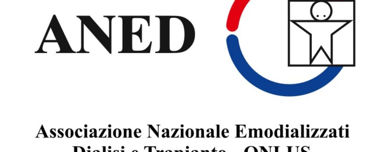 images Sanità, in arrivo al "Materdomini" di Catanzaro un'innovativa metodica per fistole ai dializzati